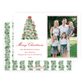 Christmas Photo Card - Tied with a Bow Tree - Landscape